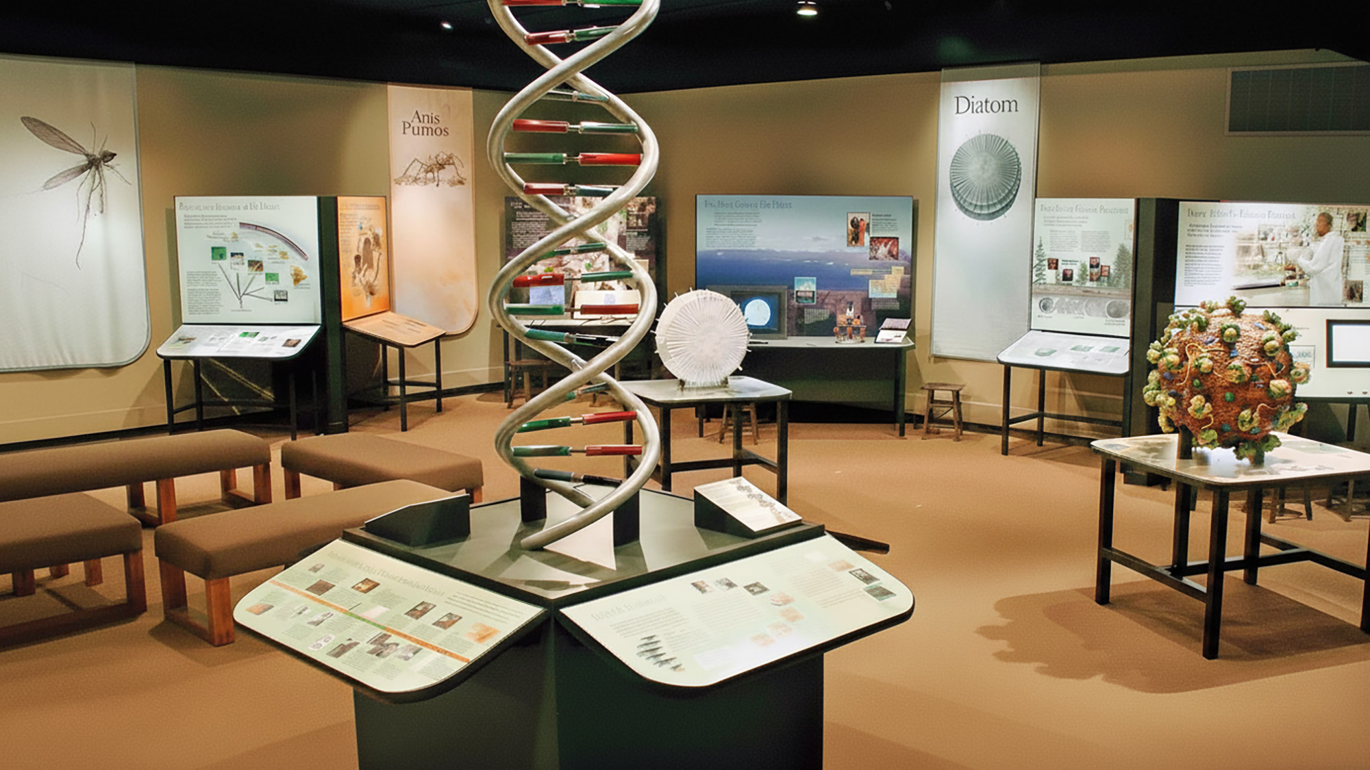 The Explore Evolution exhibition room with large models of DNA and a virus.