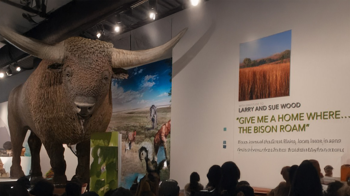 A large bison statue looks at the camera.