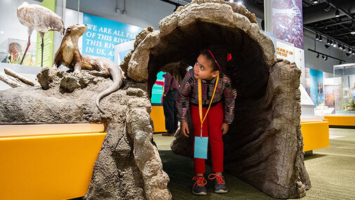 Young girl walking through the otter tunnel in the Cherish Nebraska exhibit