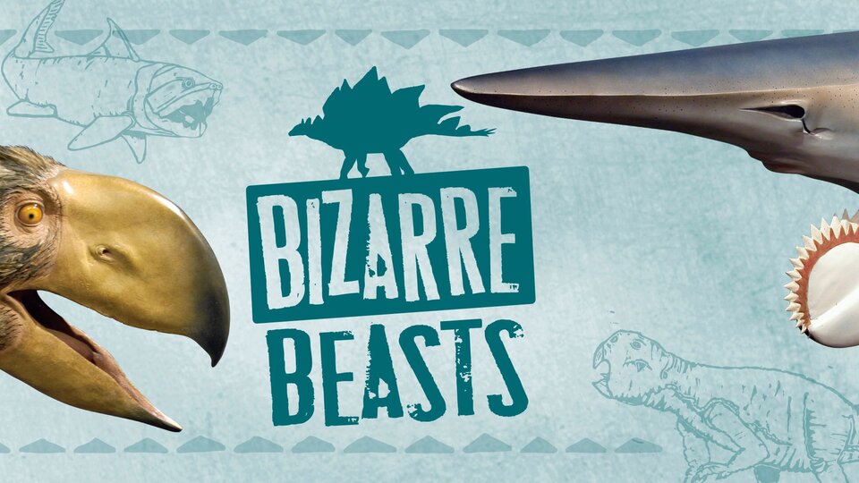 An image of a ancient giant birds head and a sawtooth shark on either side of the text Bizarre Beasts.