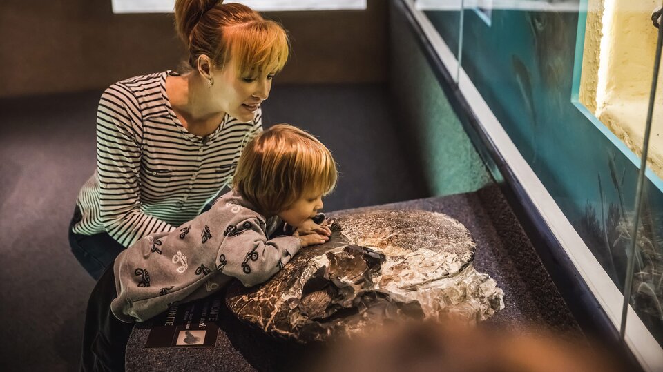 A mother and young child look closely at a fossil on display.