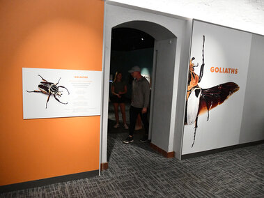 A orange wall is adorned with the sign for the exhibit next to its entrance .