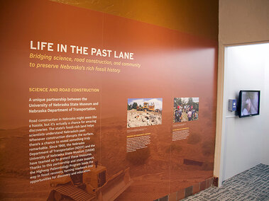 Highway Paleontology Exhibit, Life in the Past Lane wall art