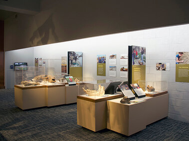 Highway Paleontology Exhibit