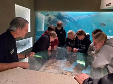Students examine a fossil of a plesiosaur jaw with an educator. 