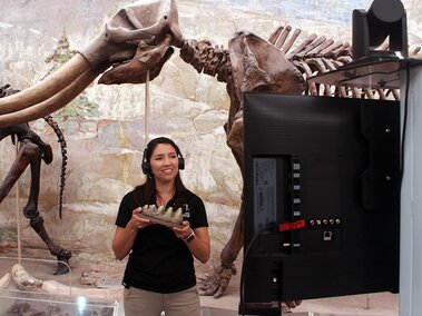Educator delivers a virtual field trip with mastodon tooth and fossils. 