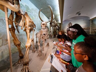 Students on a field trip examine fossil mammoths and write notes on clipboards with a museum educator. 