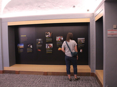 Photo of woman looking at the Photo Ark Heros
