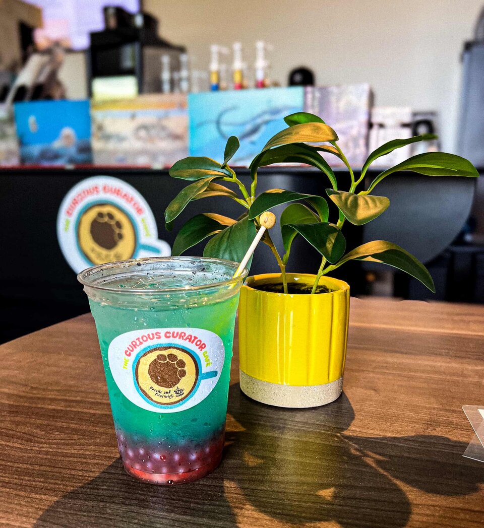 Blue drink with purple boba pearls with hard candy stick in it next to plant in yellow pot