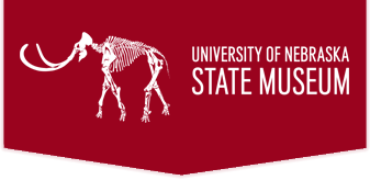 Museums overview home