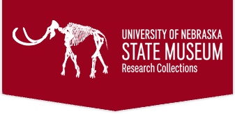 Research Collections home